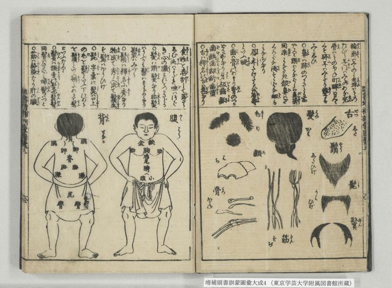 増補頭書訓蒙図彙大成 10巻 4:巻之5-8 - ページ 3