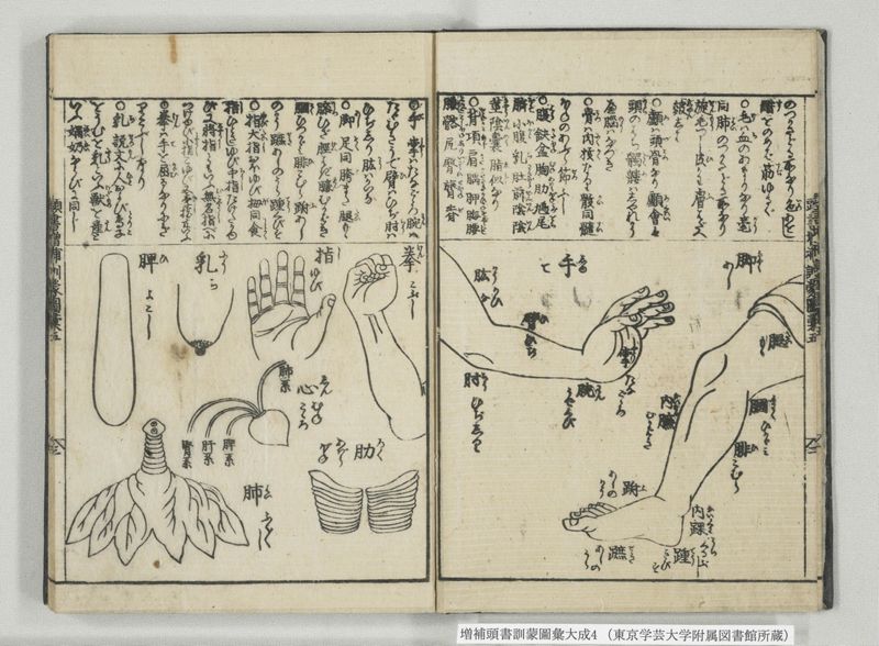 増補頭書訓蒙図彙大成 10巻 4:巻之5-8 - ページ 4
