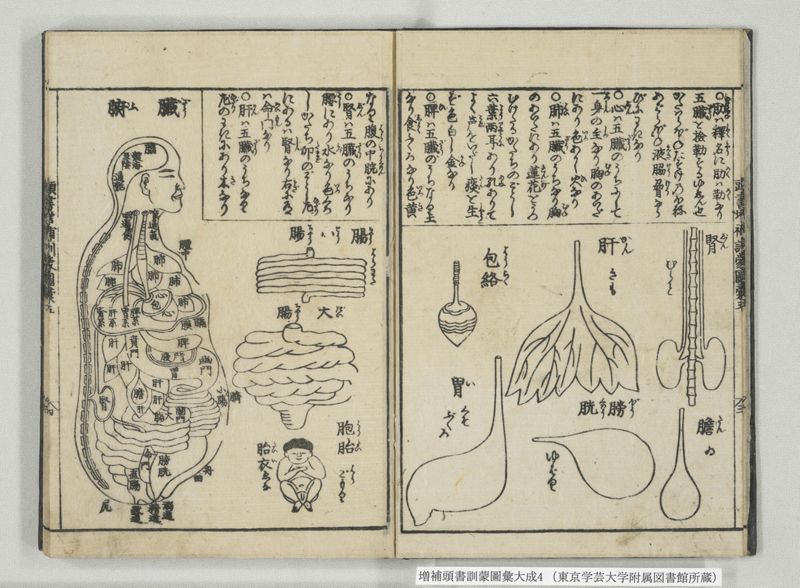 増補頭書訓蒙図彙大成 10巻 4:巻之5-8 - ページ 5