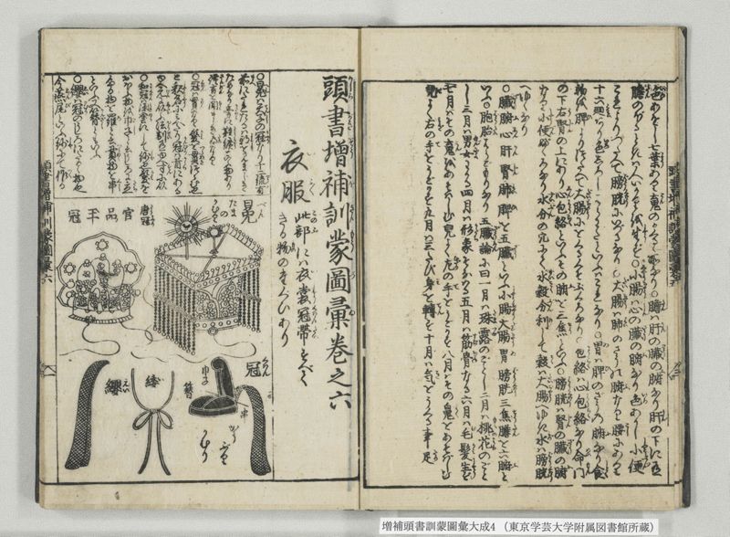 増補頭書訓蒙図彙大成 10巻 4:巻之5-8 - ページ 6