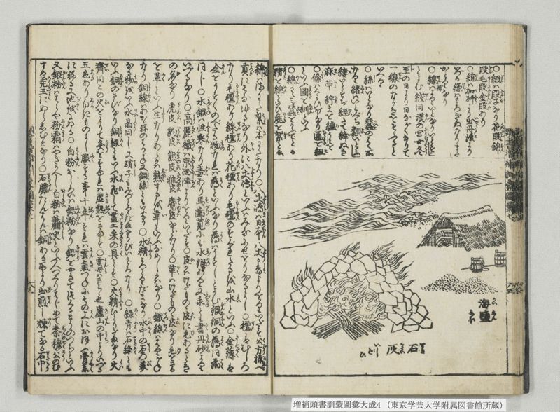 増補頭書訓蒙図彙大成 10巻 4:巻之5-8 - ページ 16