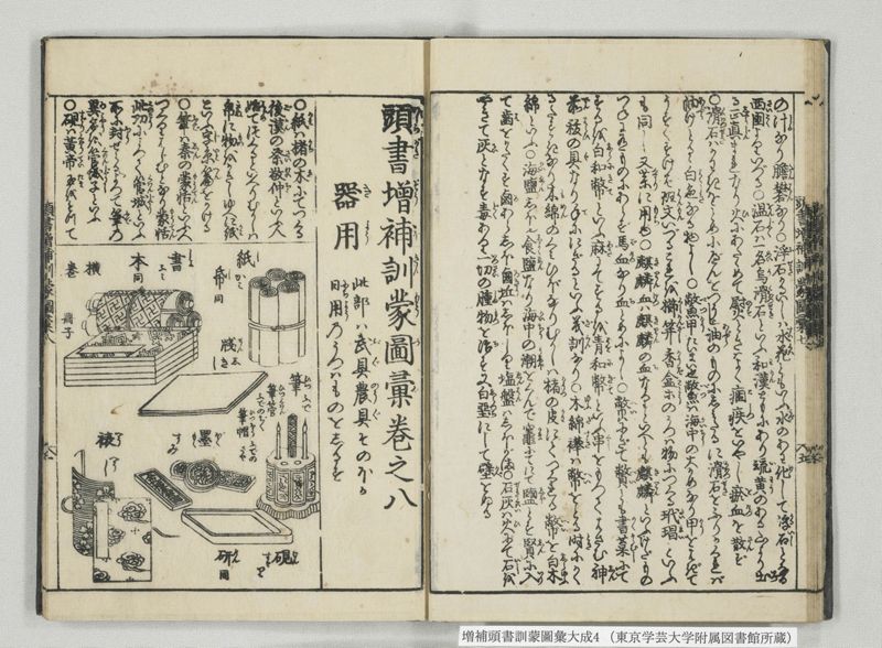 増補頭書訓蒙図彙大成 10巻 4:巻之5-8 - ページ 17