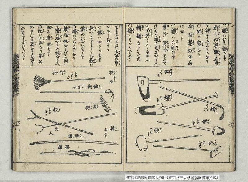 増補頭書訓蒙図彙大成 10巻 5:巻之9-11 - ページ 11
