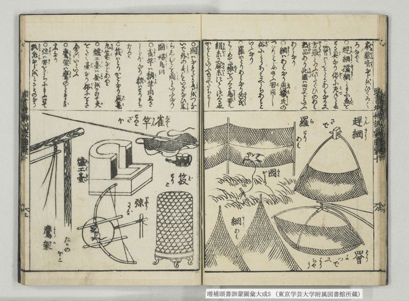 増補頭書訓蒙図彙大成 10巻 5:巻之9-11 - ページ 18