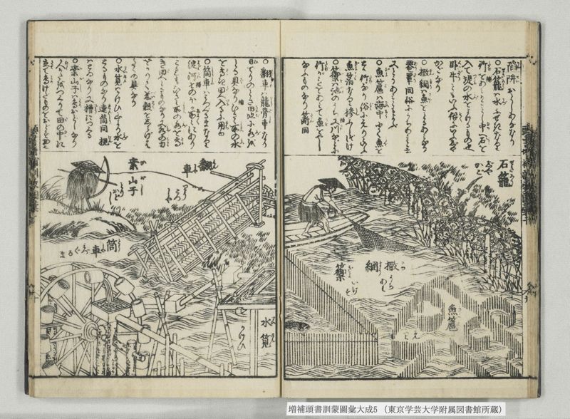 増補頭書訓蒙図彙大成 10巻 5:巻之9-11 - ページ 19
