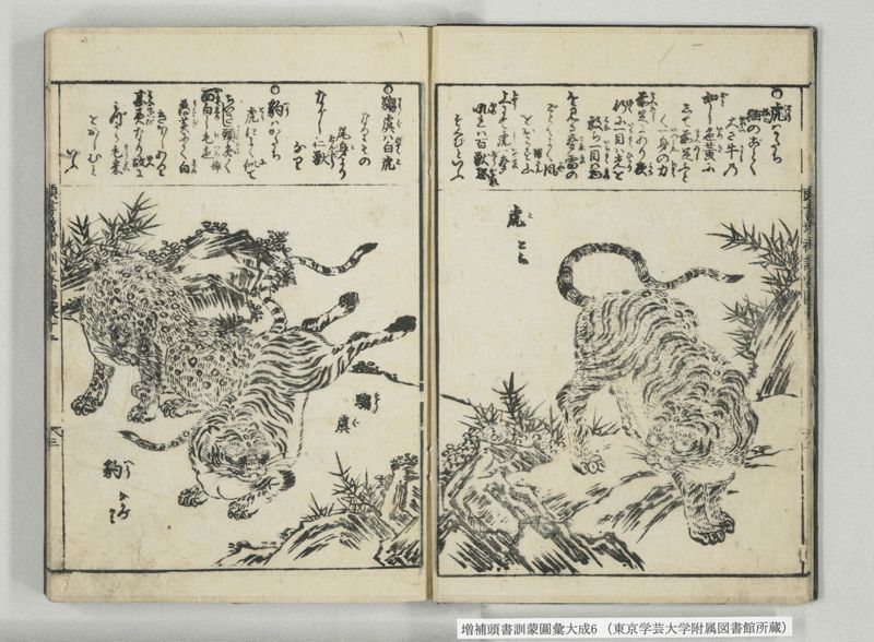 増補頭書訓蒙図彙大成 10巻 6:巻之12-13 - ページ 4