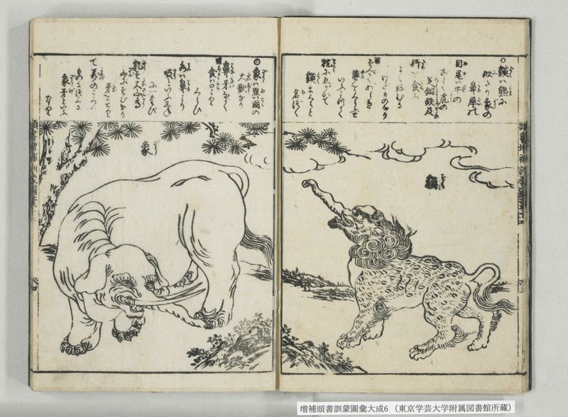 増補頭書訓蒙図彙大成 10巻 6:巻之12-13 - ページ 5