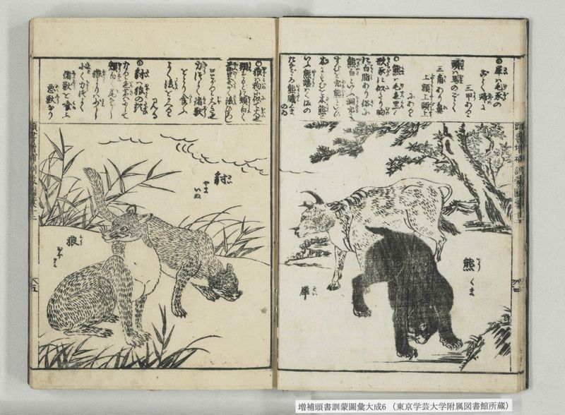 増補頭書訓蒙図彙大成 10巻 6:巻之12-13 - ページ 6