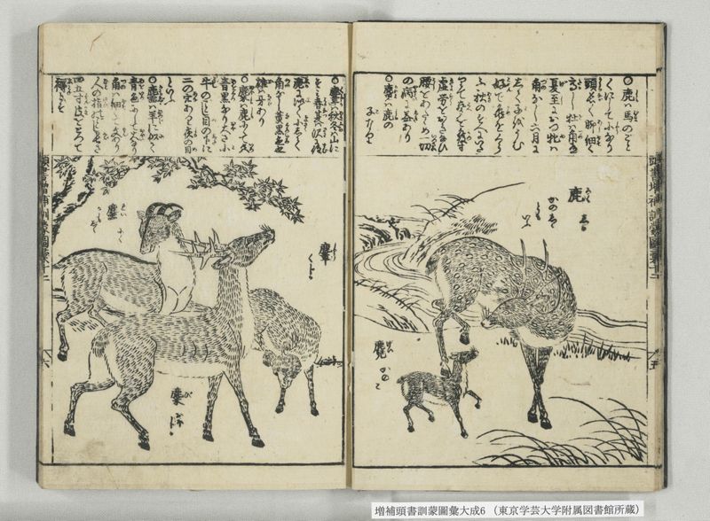 増補頭書訓蒙図彙大成 10巻 6:巻之12-13 - ページ 7