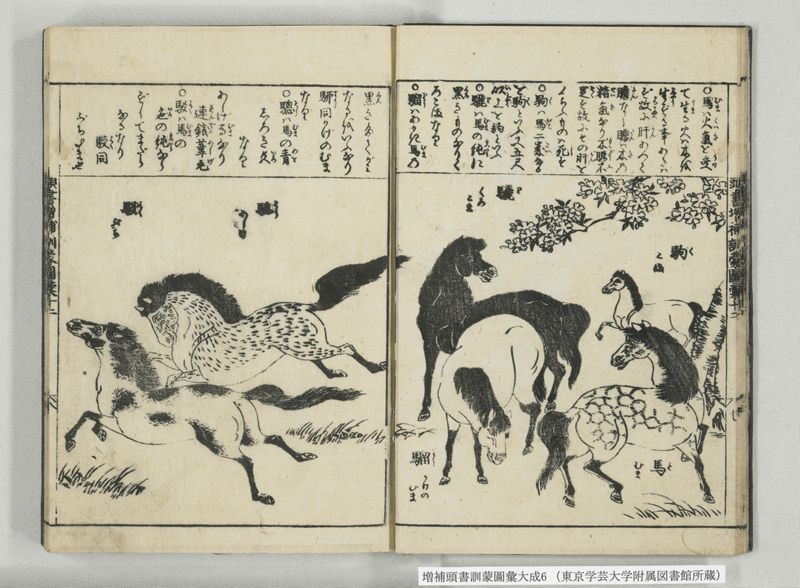 増補頭書訓蒙図彙大成 10巻 6:巻之12-13 - ページ 9