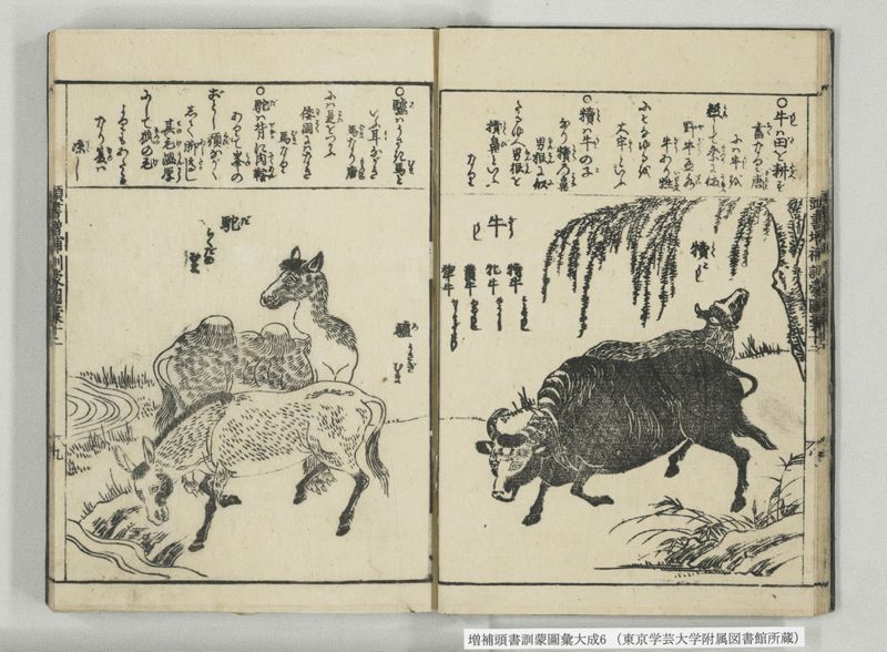 増補頭書訓蒙図彙大成 10巻 6:巻之12-13 - ページ 10