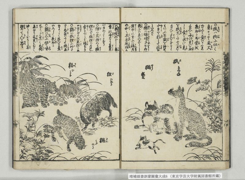 増補頭書訓蒙図彙大成 10巻 6:巻之12-13 - ページ 11