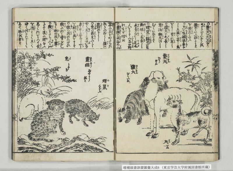 増補頭書訓蒙図彙大成 10巻 6:巻之12-13 - ページ 12