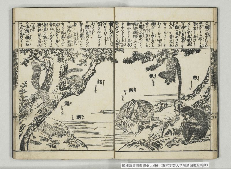 増補頭書訓蒙図彙大成 10巻 6:巻之12-13 - ページ 13