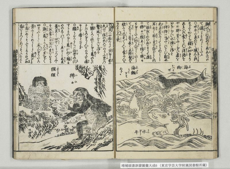 増補頭書訓蒙図彙大成 10巻 6:巻之12-13 - ページ 14