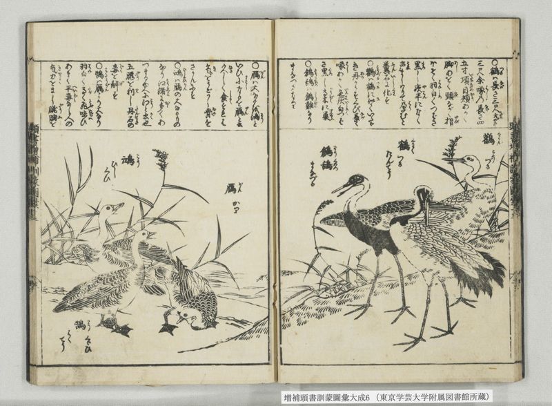 増補頭書訓蒙図彙大成 10巻 6:巻之12-13 - ページ 17