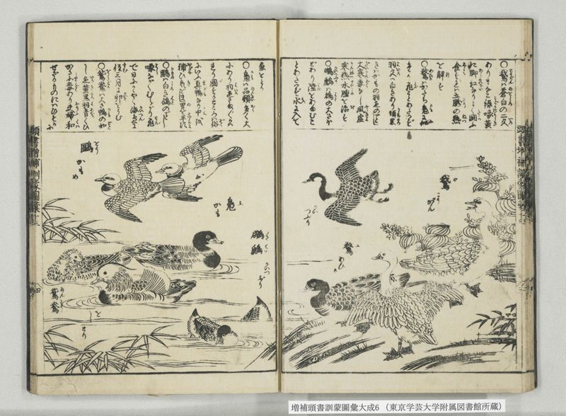 増補頭書訓蒙図彙大成 10巻 6:巻之12-13 - ページ 18