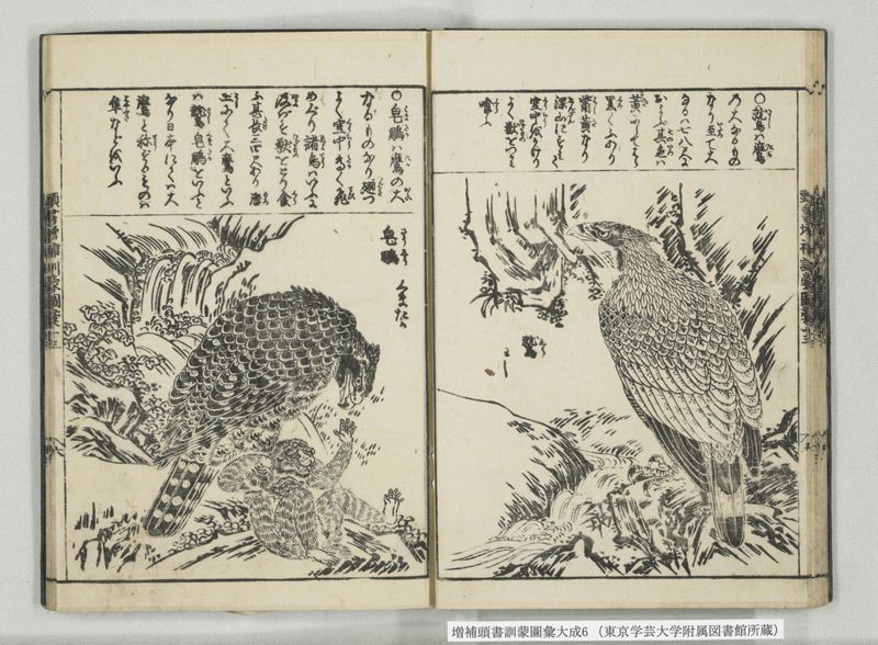 増補頭書訓蒙図彙大成 10巻 6:巻之12-13 - ページ 20