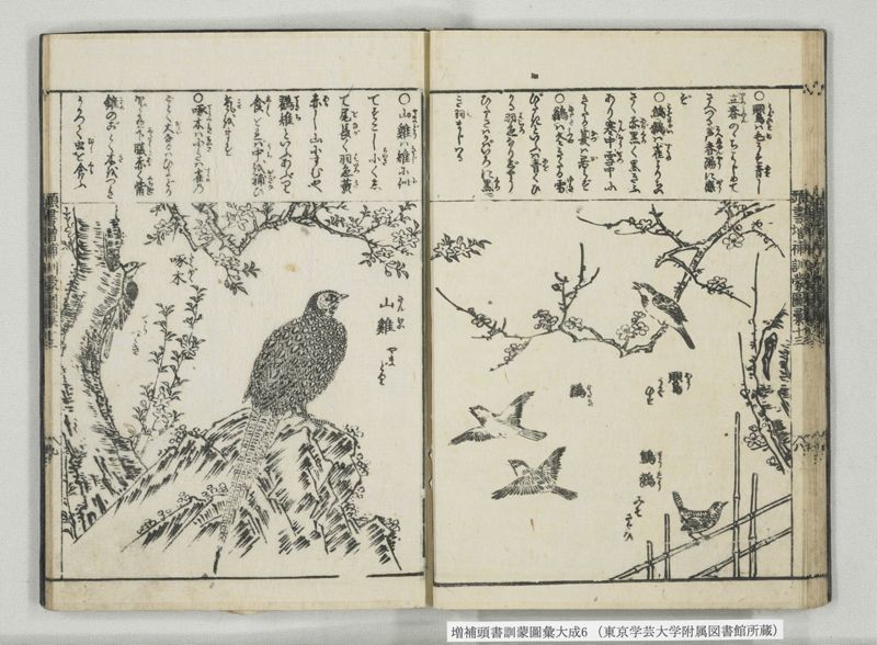増補頭書訓蒙図彙大成 10巻 6:巻之12-13 - ページ 23