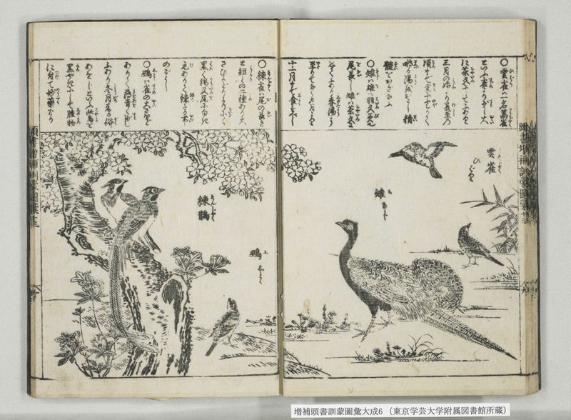 増補頭書訓蒙図彙大成 10巻 6:巻之12-13 - ページ 24