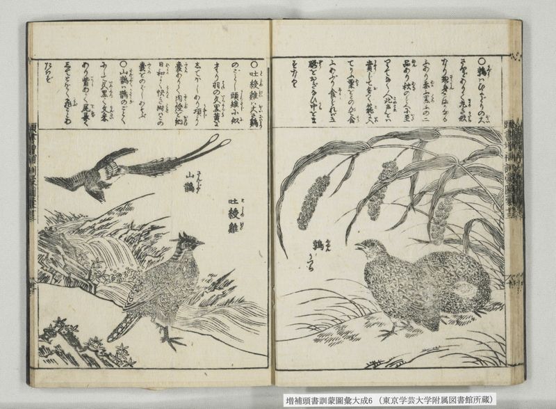 増補頭書訓蒙図彙大成 10巻 6:巻之12-13 - ページ 25