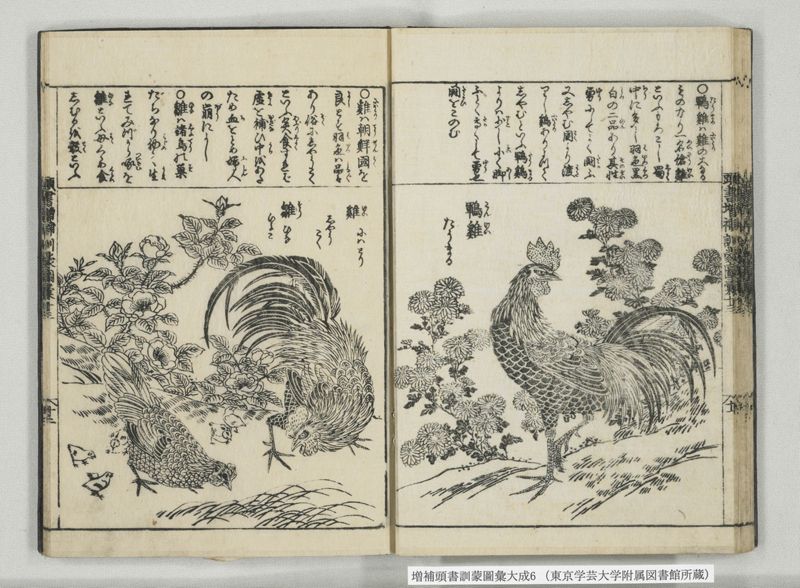 増補頭書訓蒙図彙大成 10巻 6:巻之12-13 - ページ 26