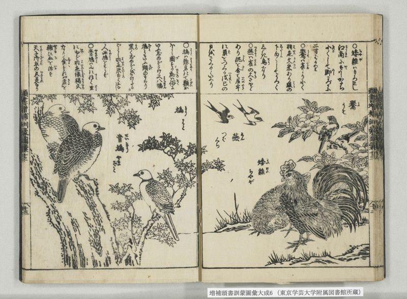 増補頭書訓蒙図彙大成 10巻 6:巻之12-13 - ページ 27