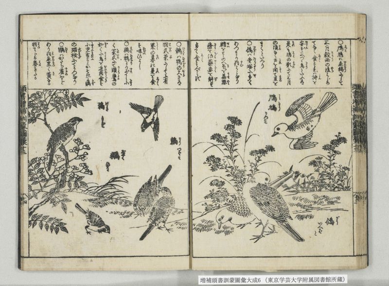 増補頭書訓蒙図彙大成 10巻 6:巻之12-13 - ページ 28