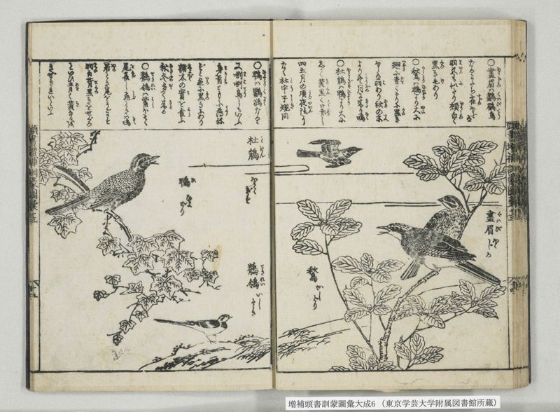増補頭書訓蒙図彙大成 10巻 6:巻之12-13 - ページ 29