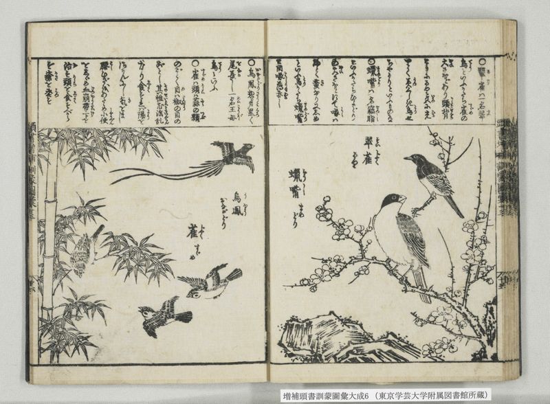 増補頭書訓蒙図彙大成 10巻 6:巻之12-13 - ページ 30
