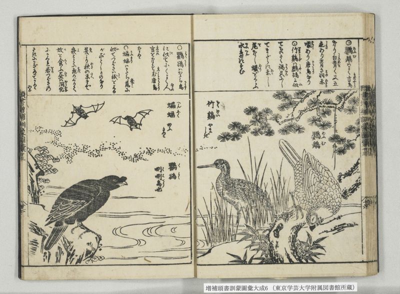 増補頭書訓蒙図彙大成 10巻 6:巻之12-13 - ページ 31