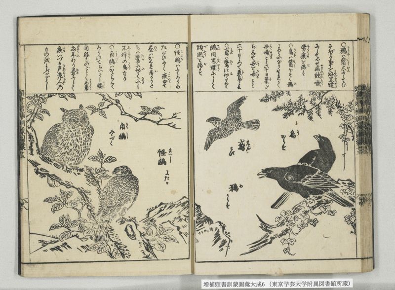 増補頭書訓蒙図彙大成 10巻 6:巻之12-13 - ページ 32
