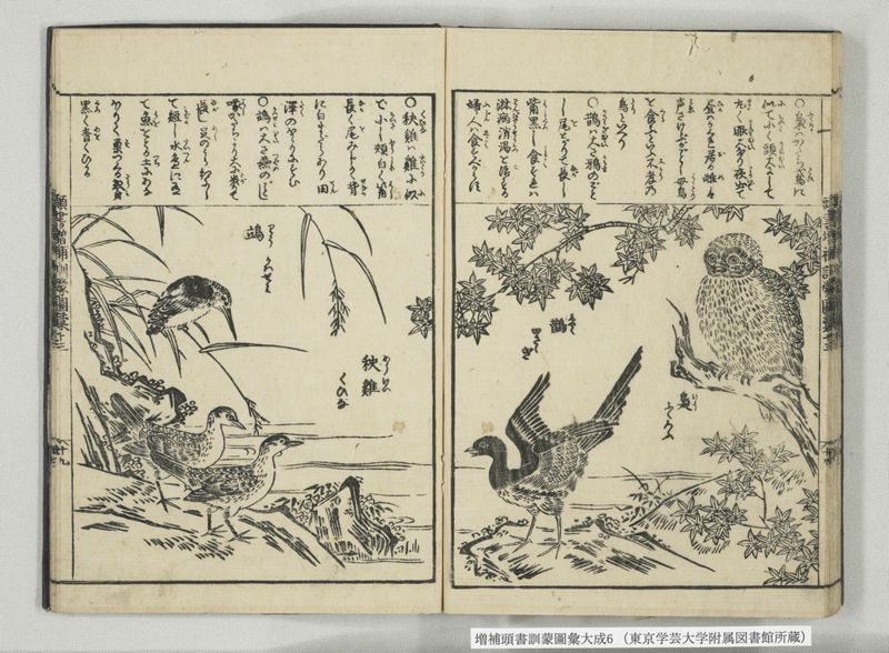 増補頭書訓蒙図彙大成 10巻 6:巻之12-13 - ページ 33