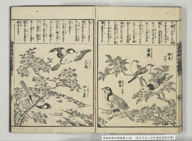 増補頭書訓蒙図彙大成 10巻 6:巻之12-13 - ページ 35