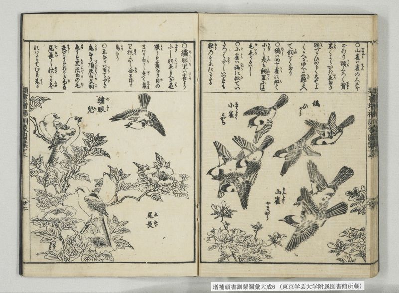 増補頭書訓蒙図彙大成 10巻 6:巻之12-13 - ページ 36