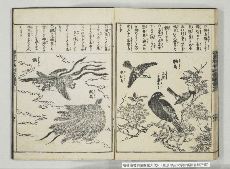 増補頭書訓蒙図彙大成 10巻 6:巻之12-13 - ページ 37