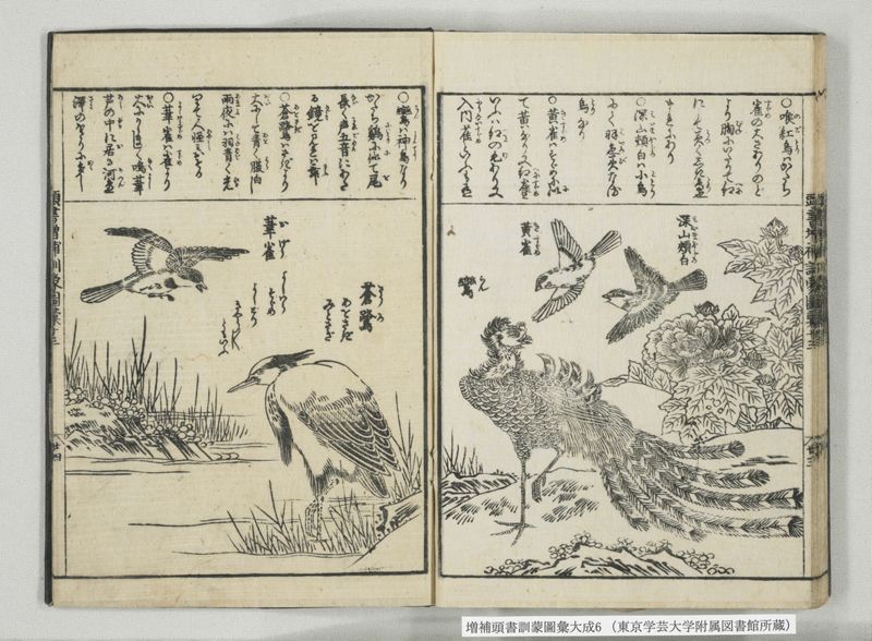 増補頭書訓蒙図彙大成 10巻 6:巻之12-13 - ページ 38
