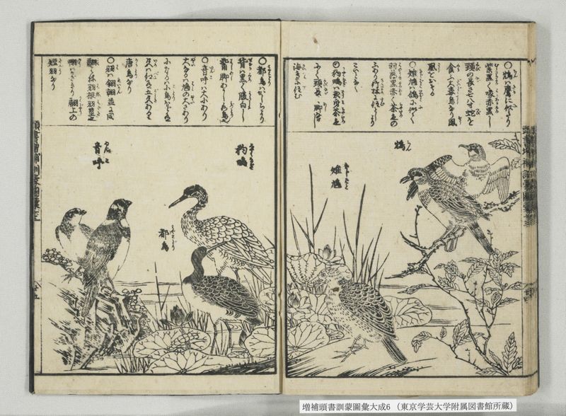 増補頭書訓蒙図彙大成 10巻 6:巻之12-13 - ページ 39