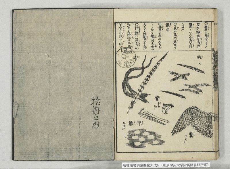 増補頭書訓蒙図彙大成 10巻 6:巻之12-13 - ページ 40