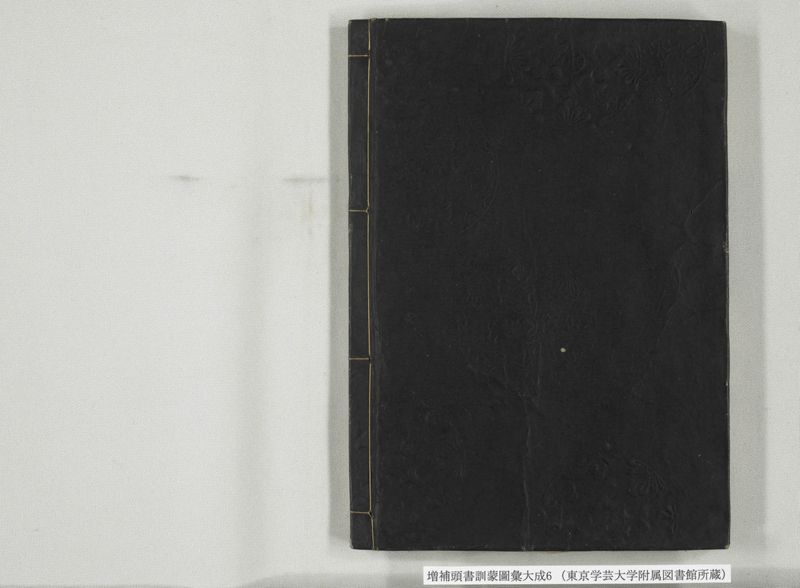 増補頭書訓蒙図彙大成 10巻 6:巻之12-13 - ページ 41