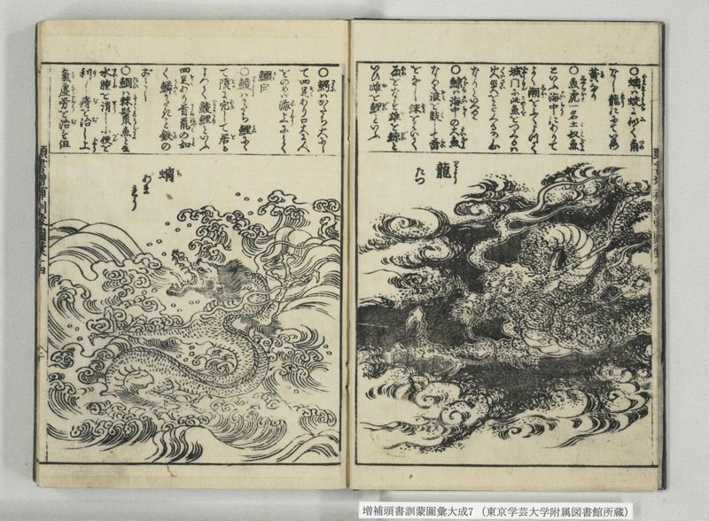 増補頭書訓蒙図彙大成 10巻 7:巻之14-16 - ページ 3