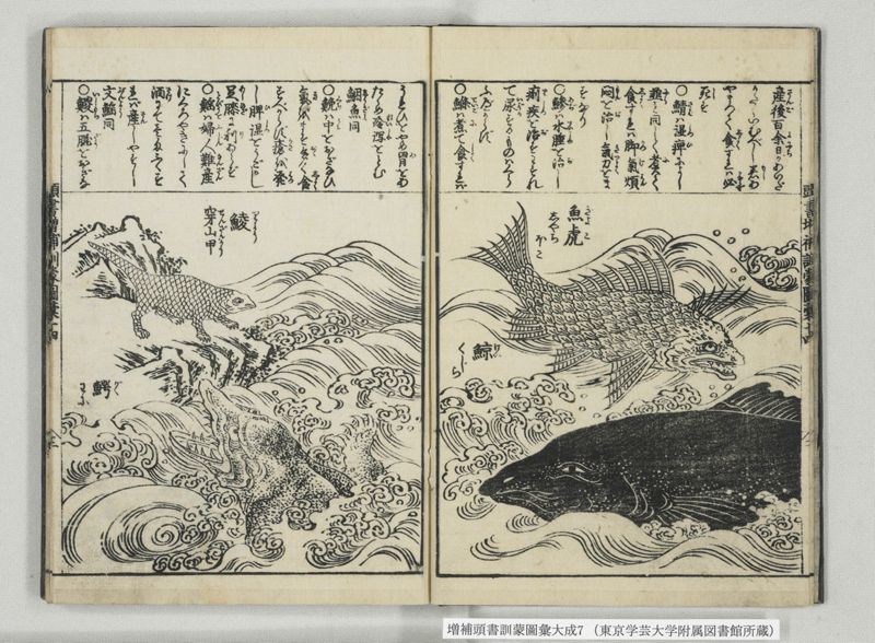 増補頭書訓蒙図彙大成 10巻 7:巻之14-16 - ページ 4