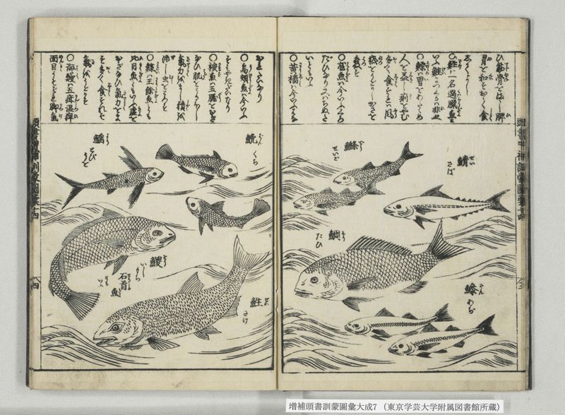 増補頭書訓蒙図彙大成 10巻 7:巻之14-16 - ページ 5