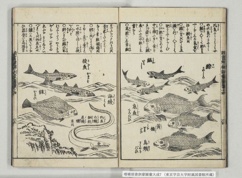 増補頭書訓蒙図彙大成 10巻 7:巻之14-16 - ページ 6