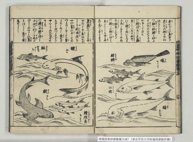 増補頭書訓蒙図彙大成 10巻 7:巻之14-16 - ページ 8