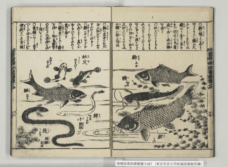 増補頭書訓蒙図彙大成 10巻 7:巻之14-16 - ページ 9