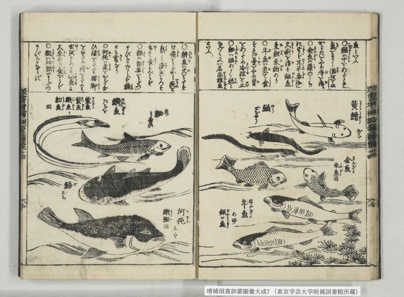 増補頭書訓蒙図彙大成 10巻 7:巻之14-16 - ページ 10