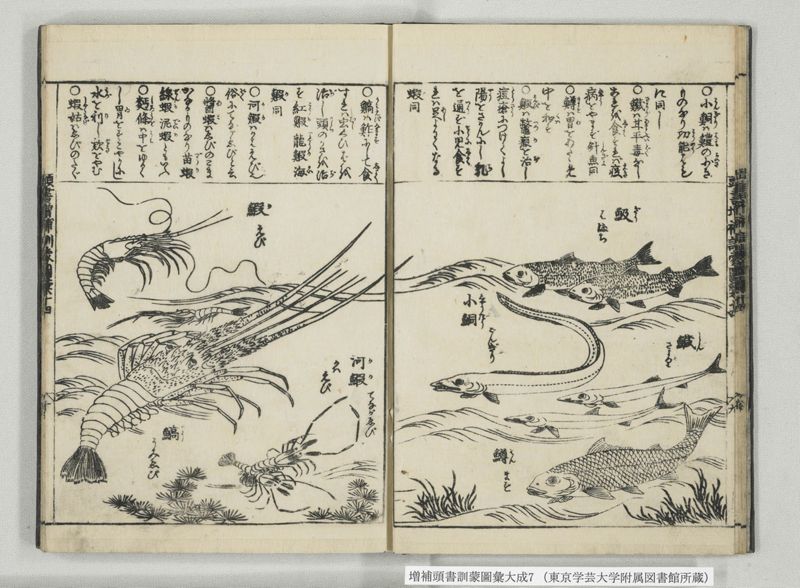 増補頭書訓蒙図彙大成 10巻 7:巻之14-16 - ページ 11