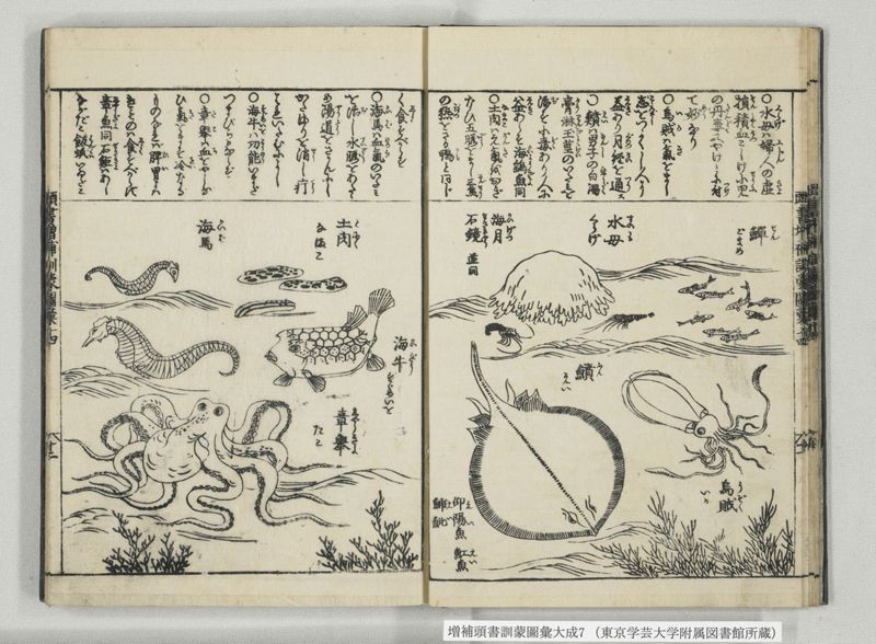増補頭書訓蒙図彙大成 10巻 7:巻之14-16 - ページ 13