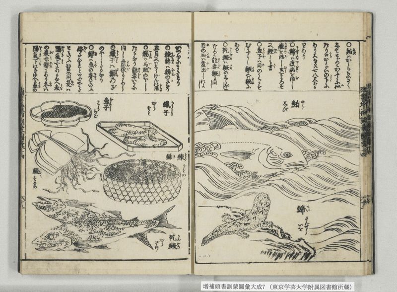 増補頭書訓蒙図彙大成 10巻 7:巻之14-16 - ページ 14